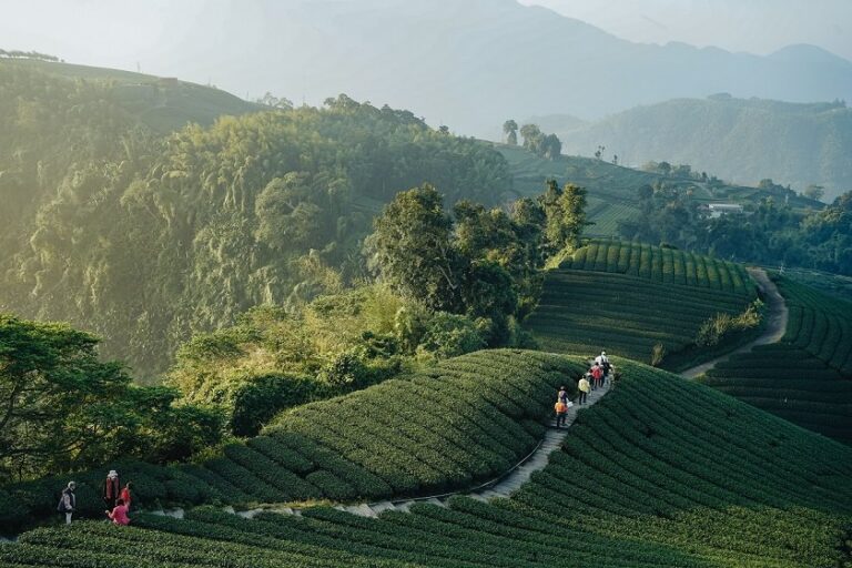 感受臺灣文化的甘甜滋味！2023 ITF台北國際旅展文化部推出「糖與茶文化」觀光旅遊主題路線