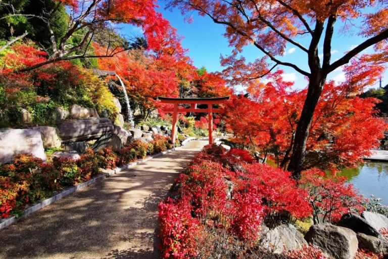 捷絲旅大阪心齋橋館即日起至10/17推出三天兩夜的「愛上關西賞秋楓」住房專案！